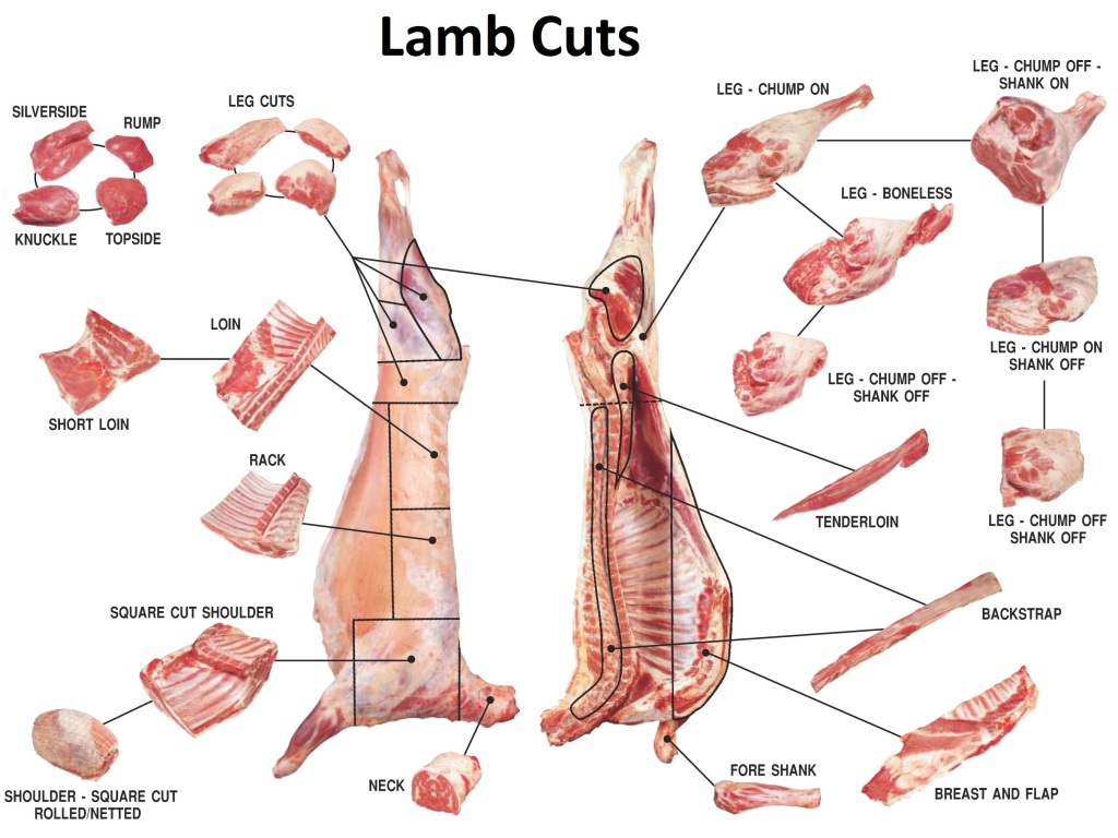 lamb cuts dadar company